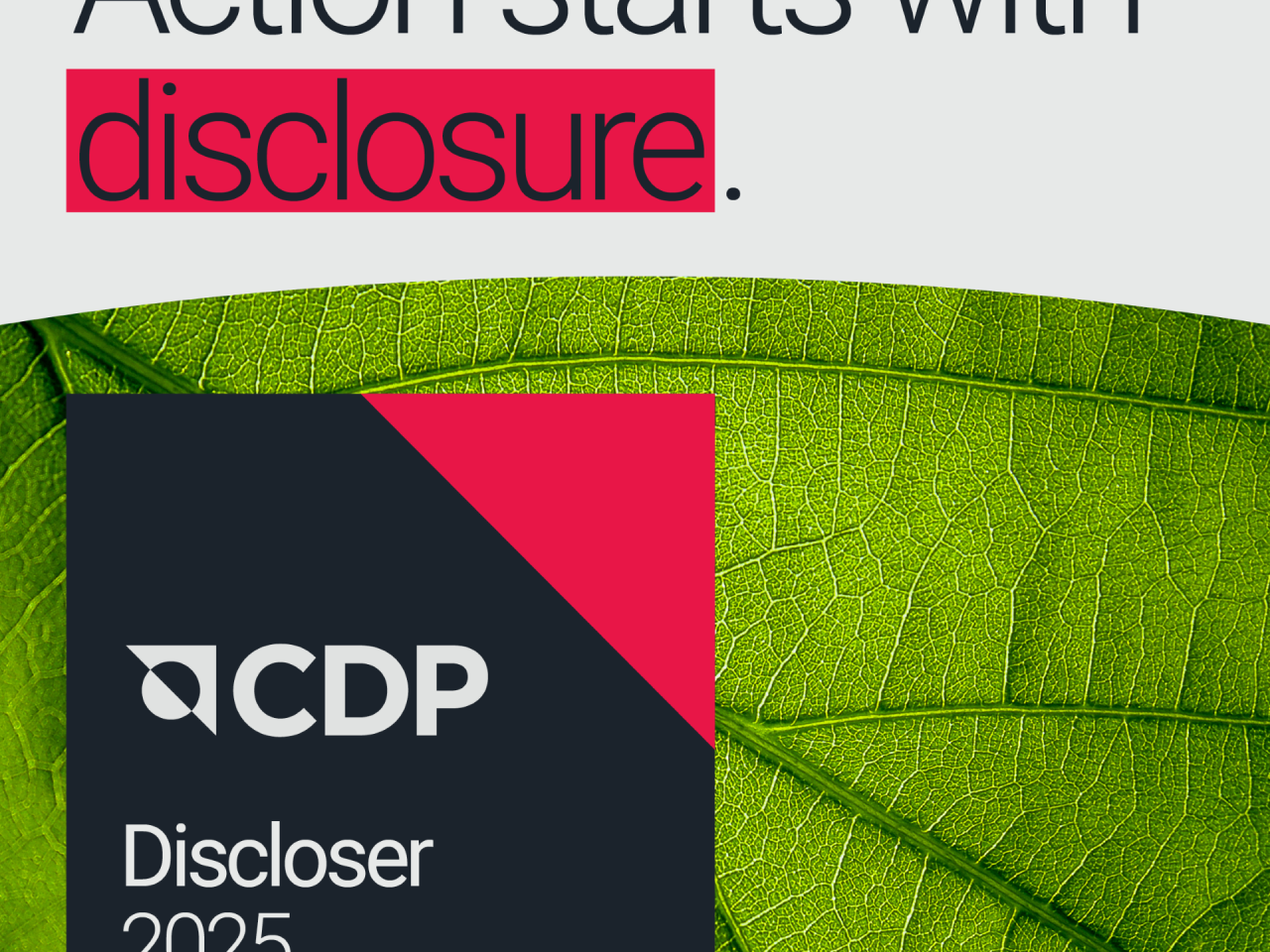 "Action starts with disclosure." CDP Discloser 2025 logo