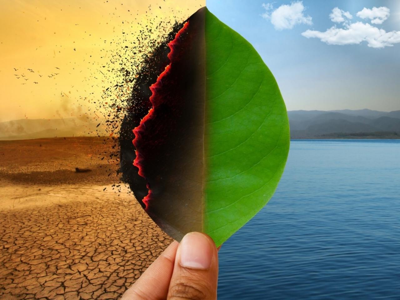 Hand holding leaf - on right side the leaf is green atop clear blue water and on left side leaf is black and burning atop parched dirt to depict climate change.