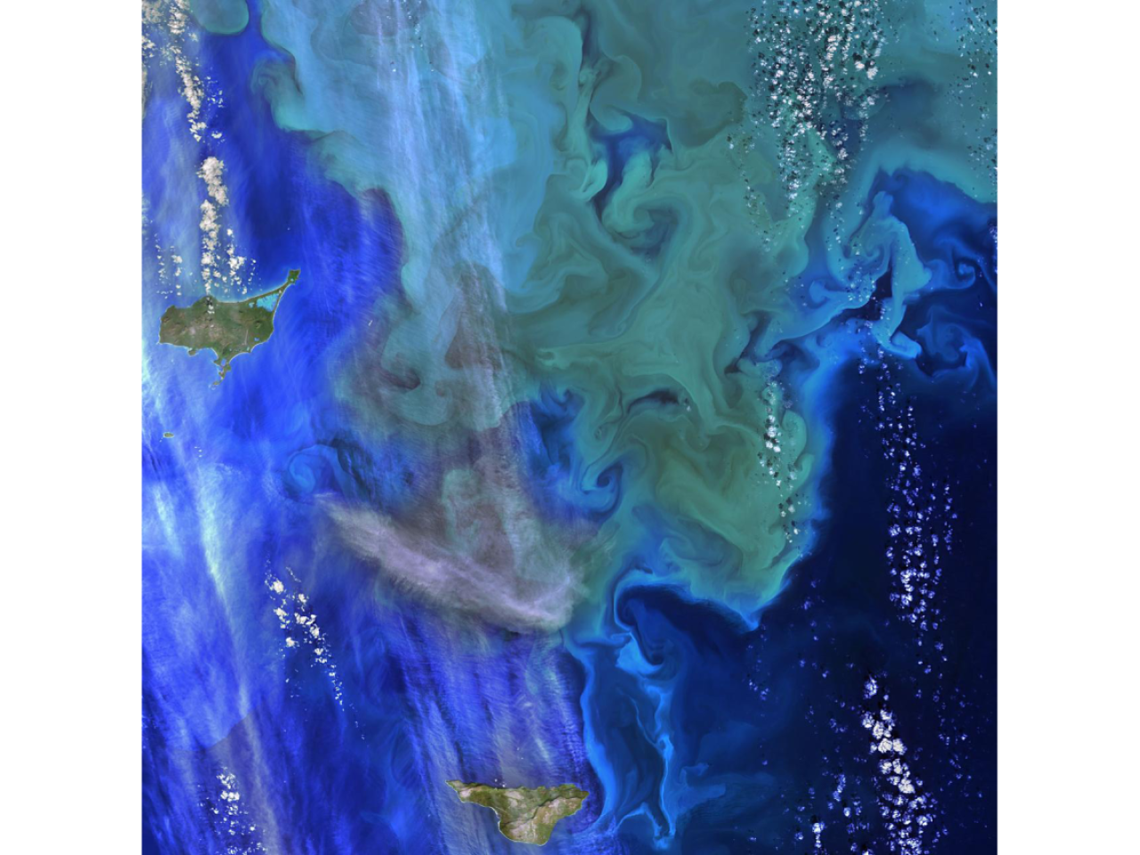 Image of Geographic Information Systems mapping