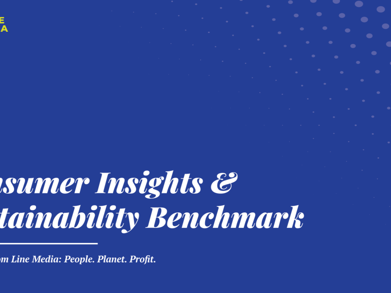 Consumer Insights & Sustainability Benchmark
