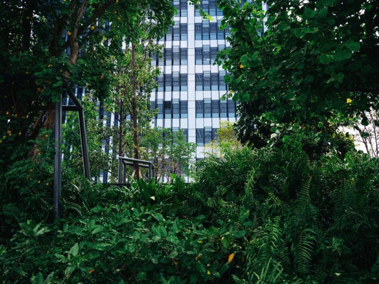 Corporate Climate Strategy