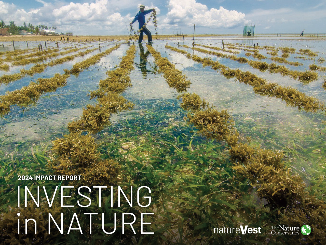 Cover image for TNC NatureVest 2024 Impact Report