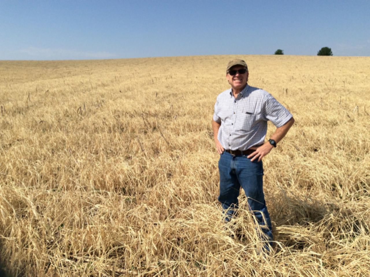 Dan Gillespie standing in field 
