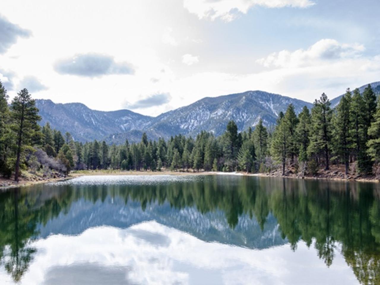 A mountainous landscape with trees and a lake in the foreground