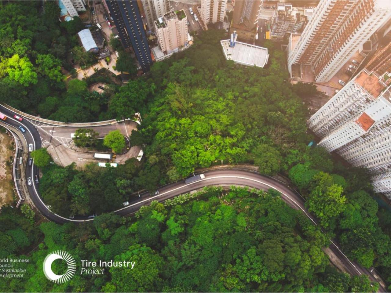 Aerial view of curved road in forest against buildings