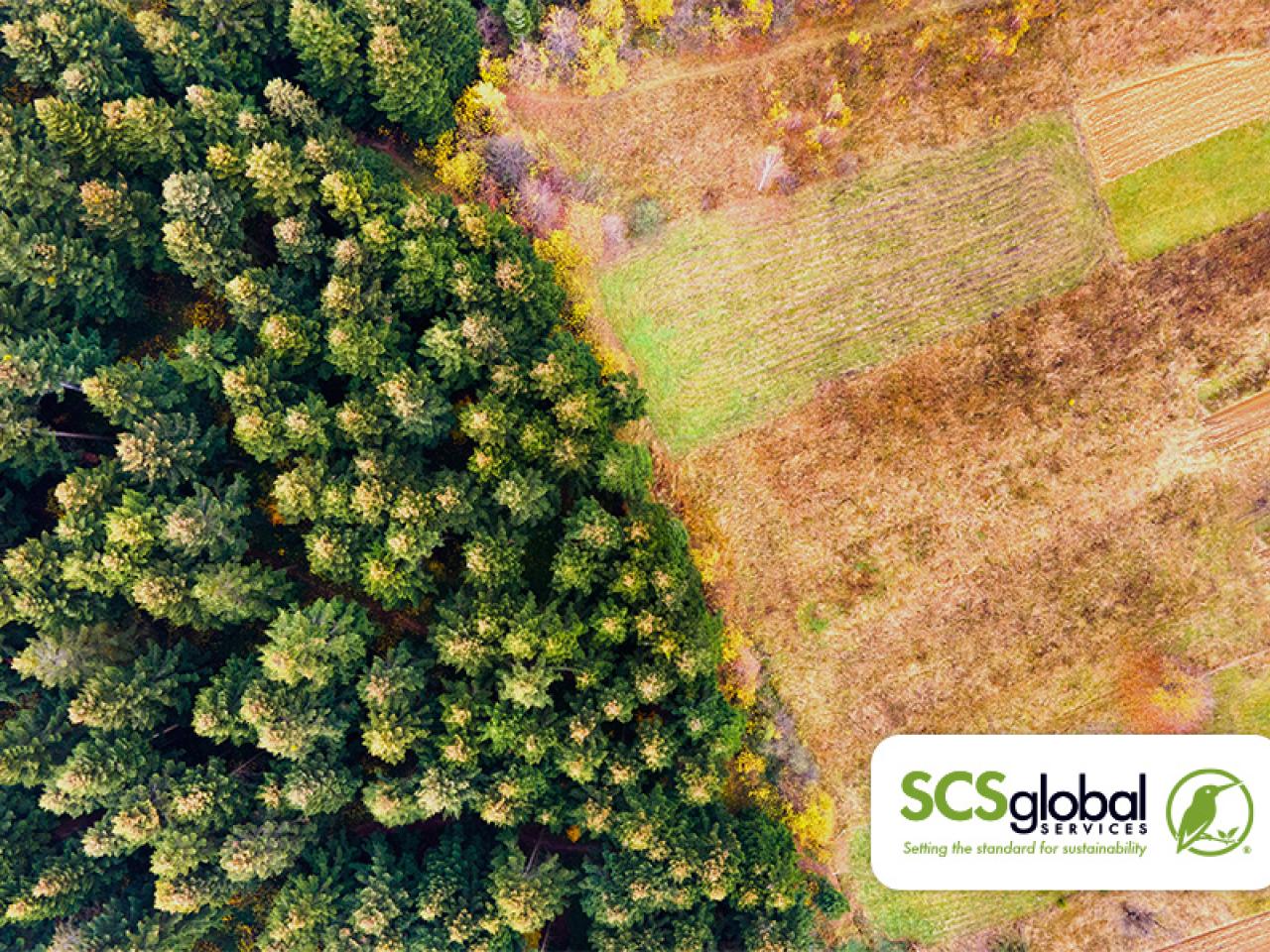 SCS Global Services - Forest image