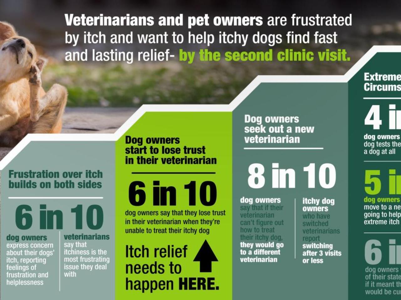 elanco Itchy dog report infographic 