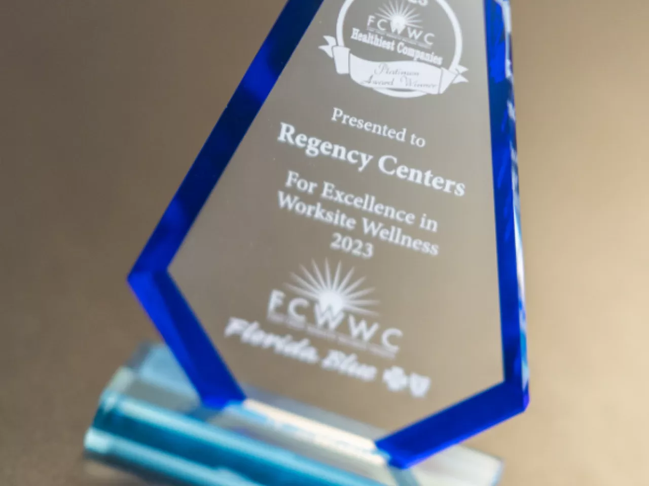 Close up of a FCWWC award "For excellence in workplace wellness."