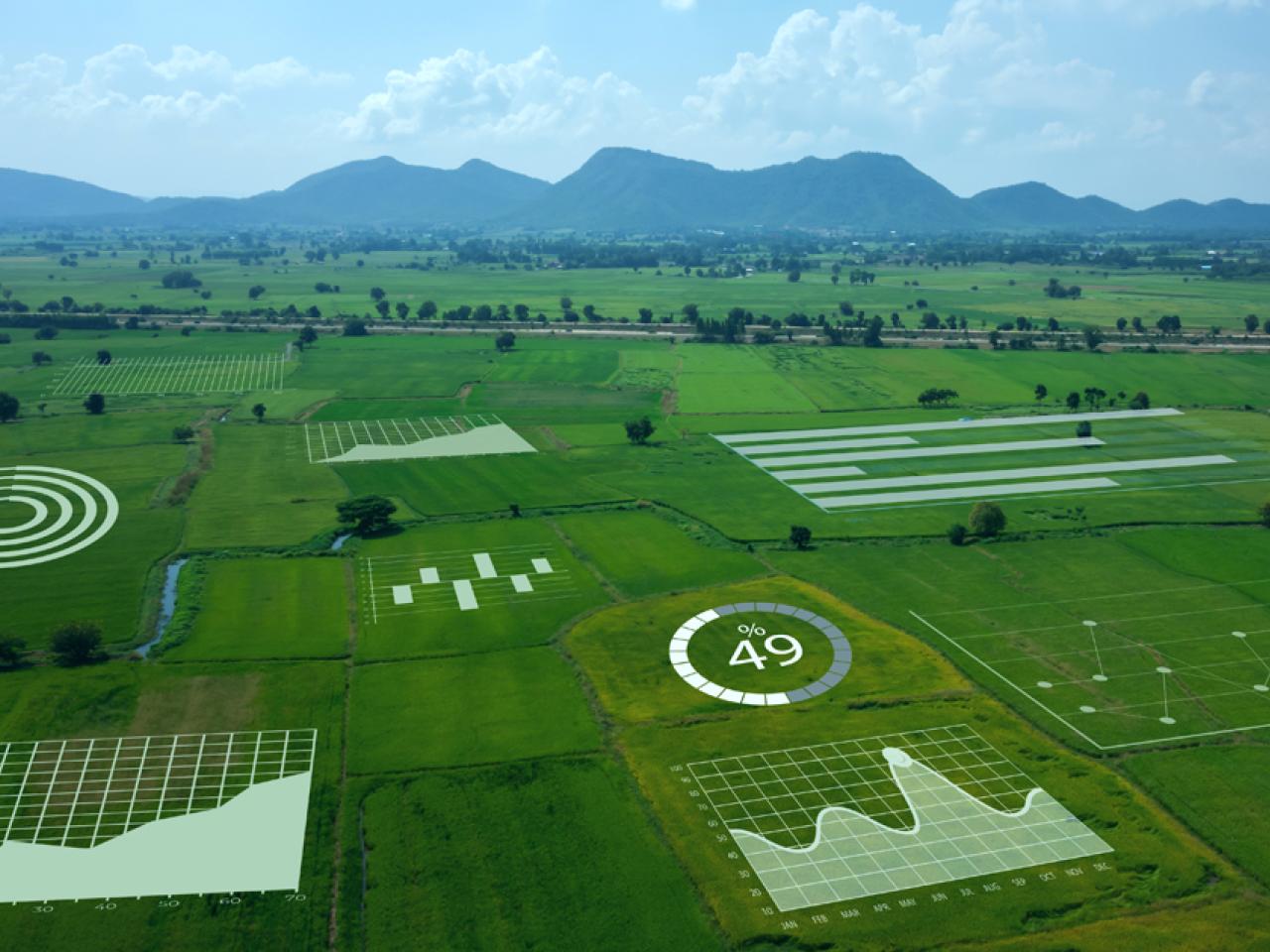 Illustration of MRV (Measurement, Reporting and Verification), a system used to monitor, document and confirm the outcomes of Ag practices.