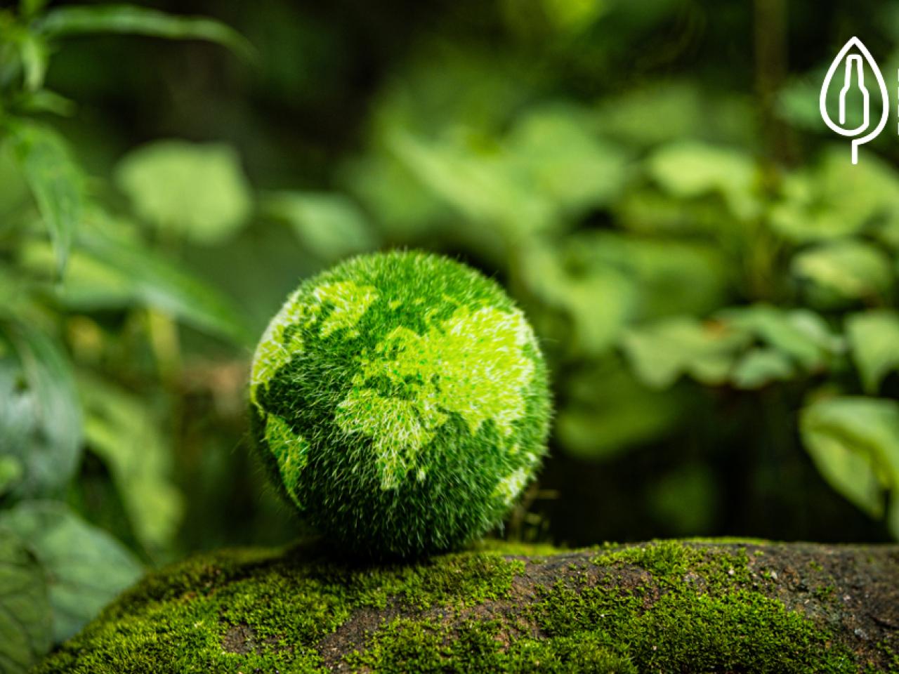 green globe in the forest, sustainability concept