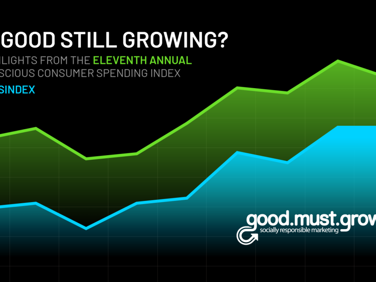 11th Annual Conscious Consumer Spending Index