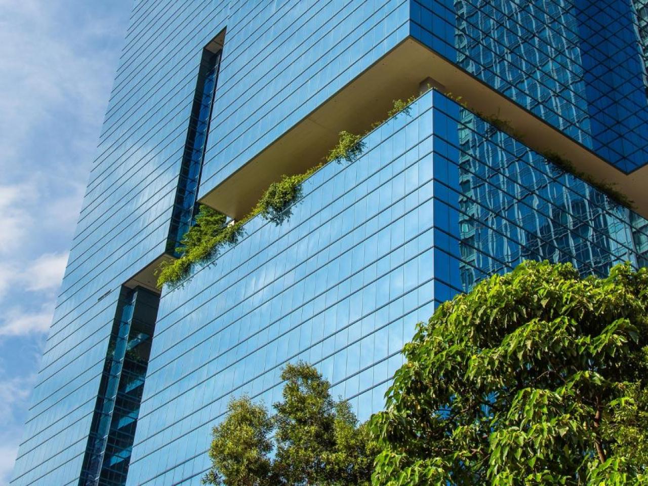 A tall office building and clouds in a blue sky behind it. Trees and plants in front and on a balcony near the middle of the building.