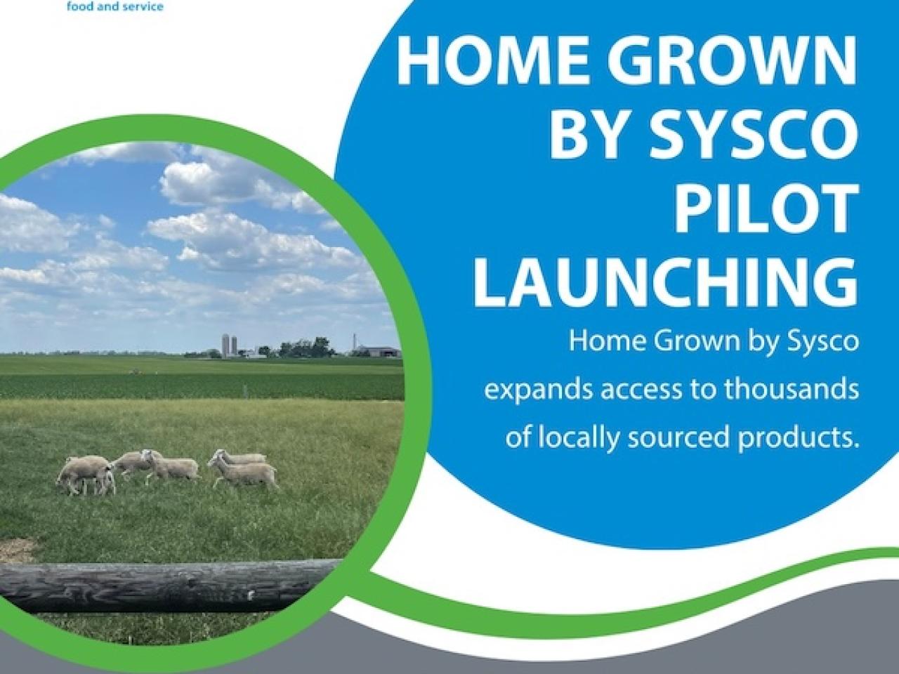 Home Grown by Sysco Pilot launching.