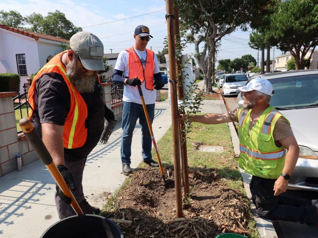 In collaboration with TreePeople, AEG employees gathered at Huntington Park for a morning of urban forestry.