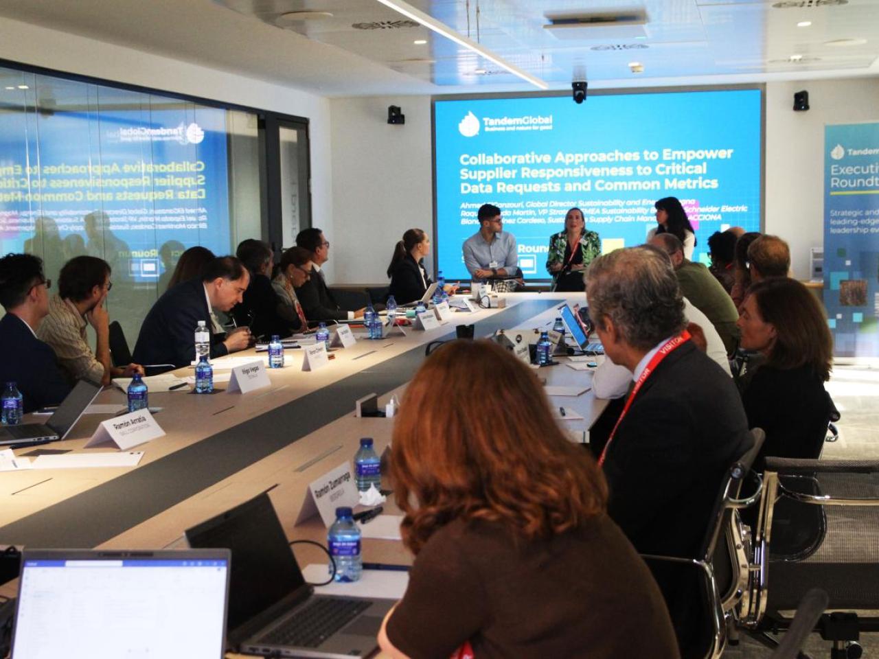 Tandem Global Executive Roundtable Madrid