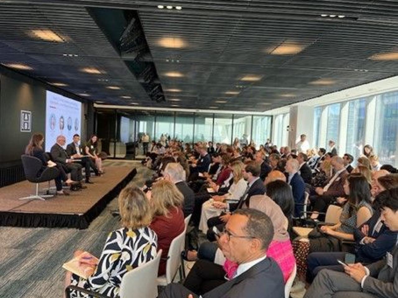 Impact and Blended Finance Conference