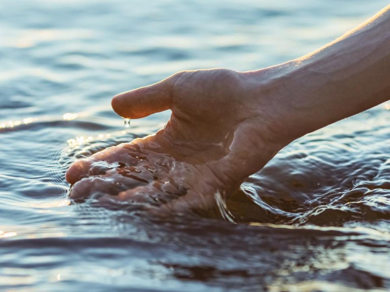 Close up of hand scooping up water