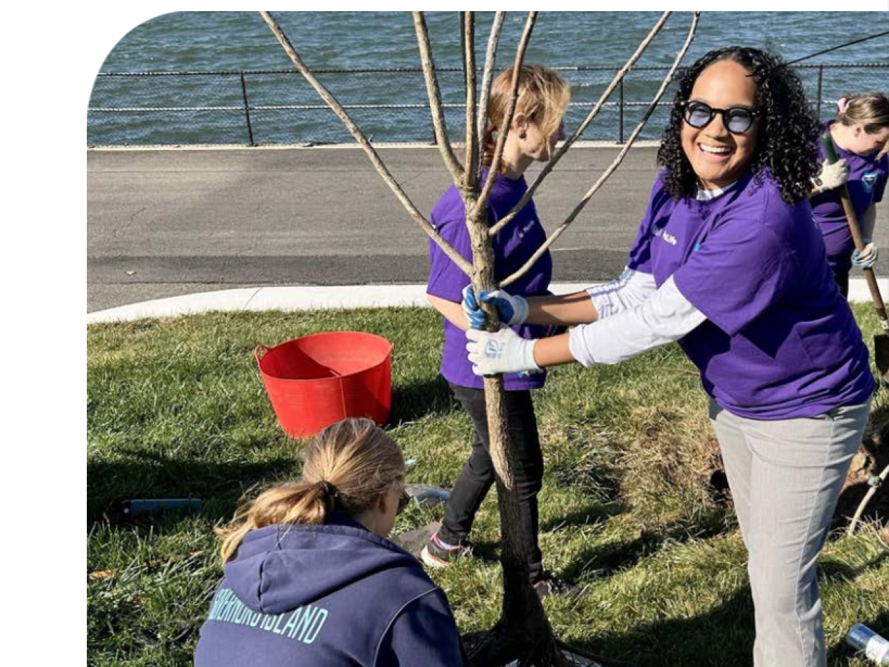 Colleagues volunteer by planting trees on Governors Island in New York City. 