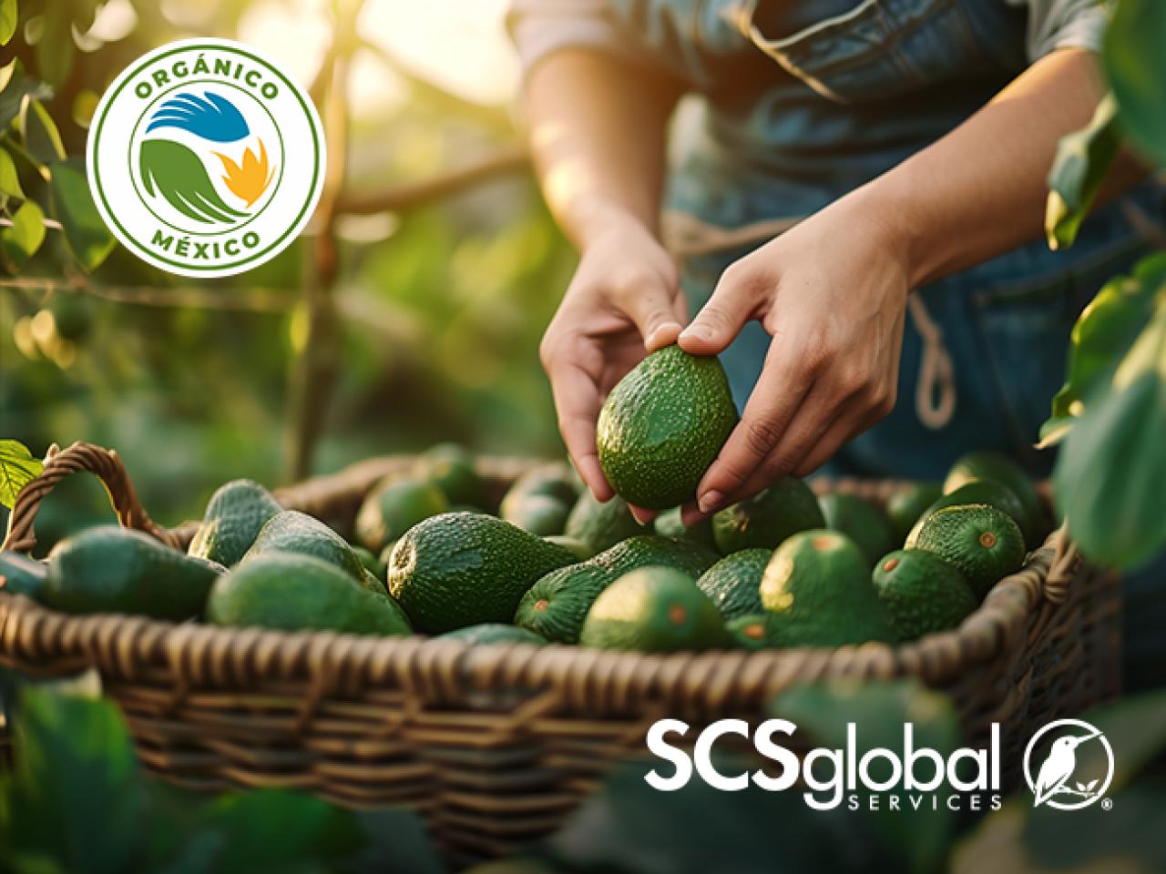 SCS México Approved for Organic Certification Under LPO