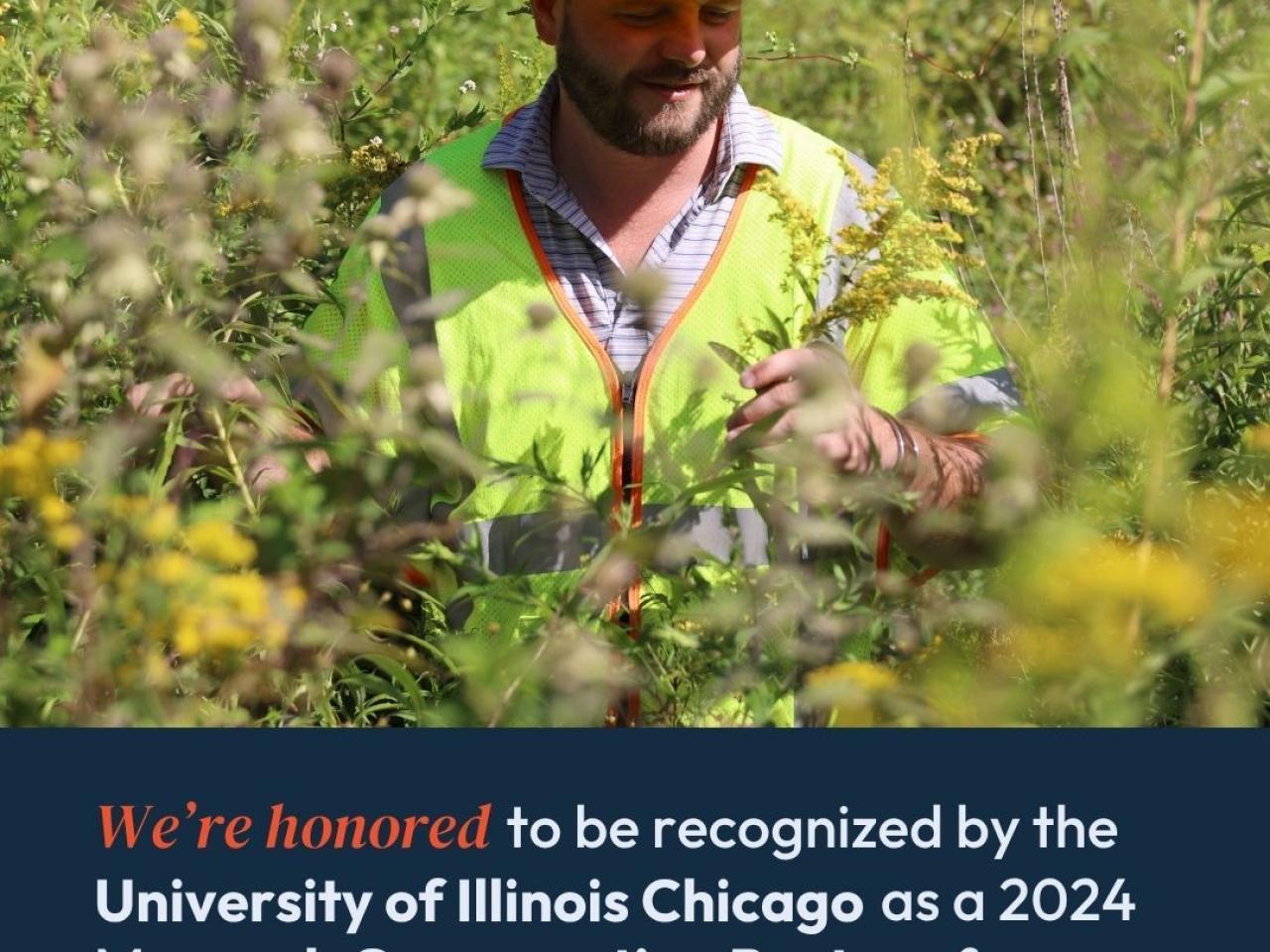 PSEG employee in pollen field. "We're honored to be recognized by the University of Illinois Chicago as a 2024 Monarch Conservation Partner for our efforts in supporting monarch butterfly habitats in our rights-of-way."
