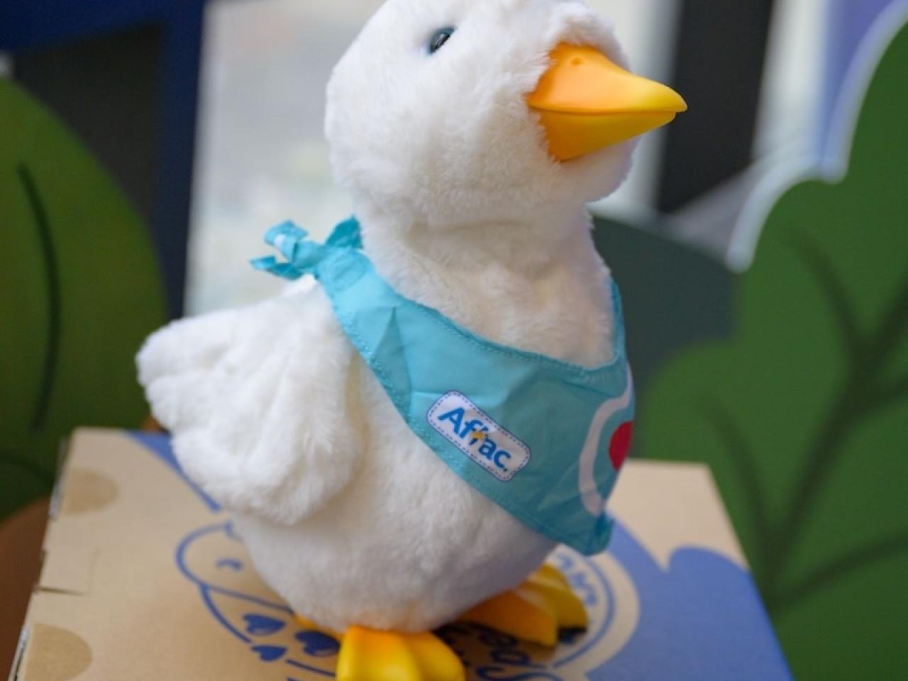 My Special Aflac Duck