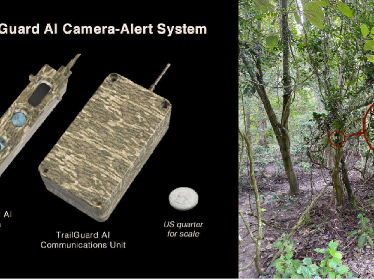 TrailGuard AI camera system