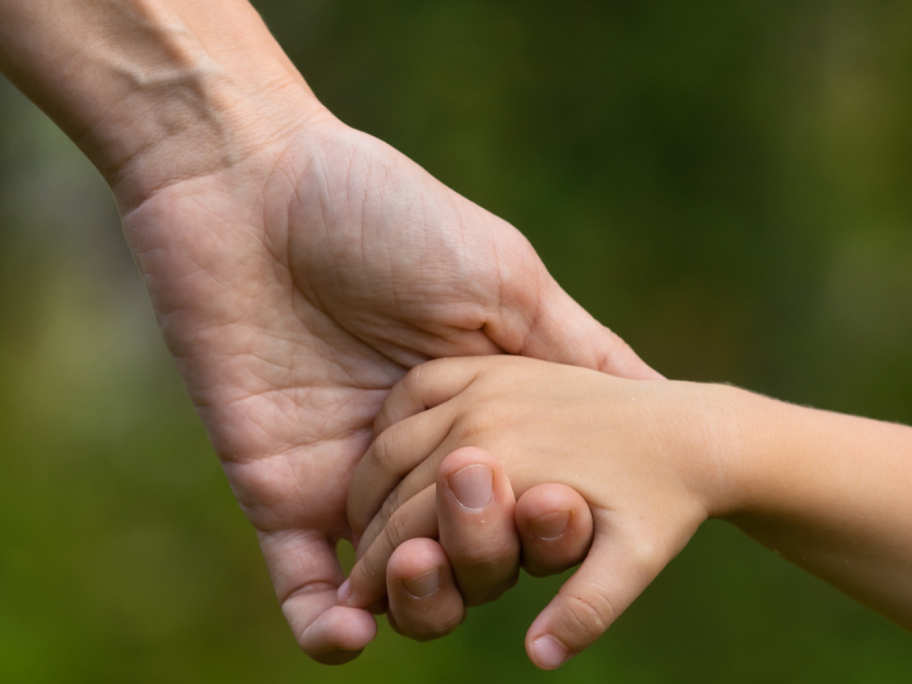A child holding an adult's hand
