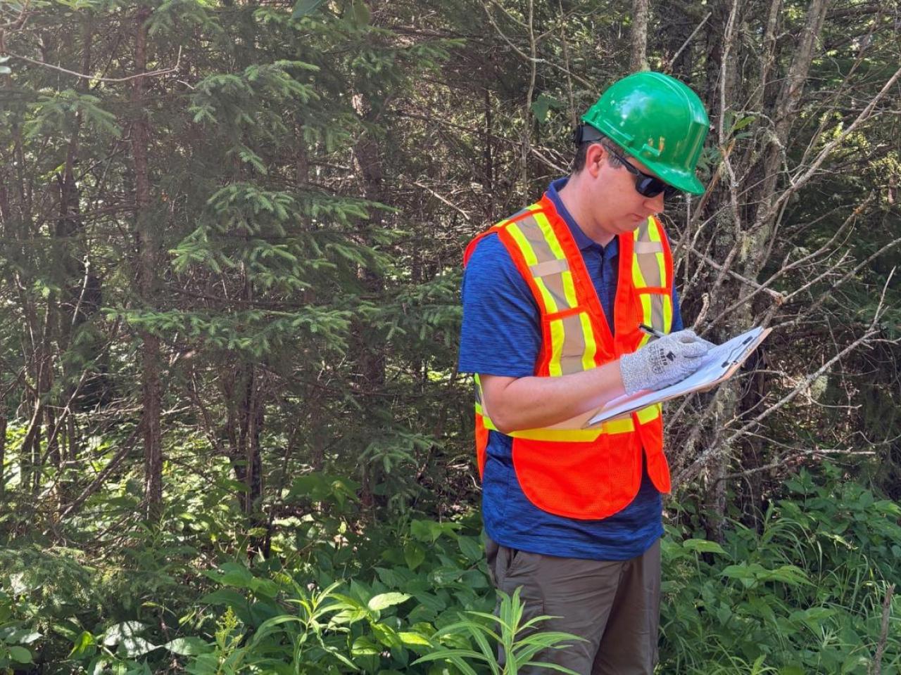 Chris Reeves standing in a forest reviewing papers.