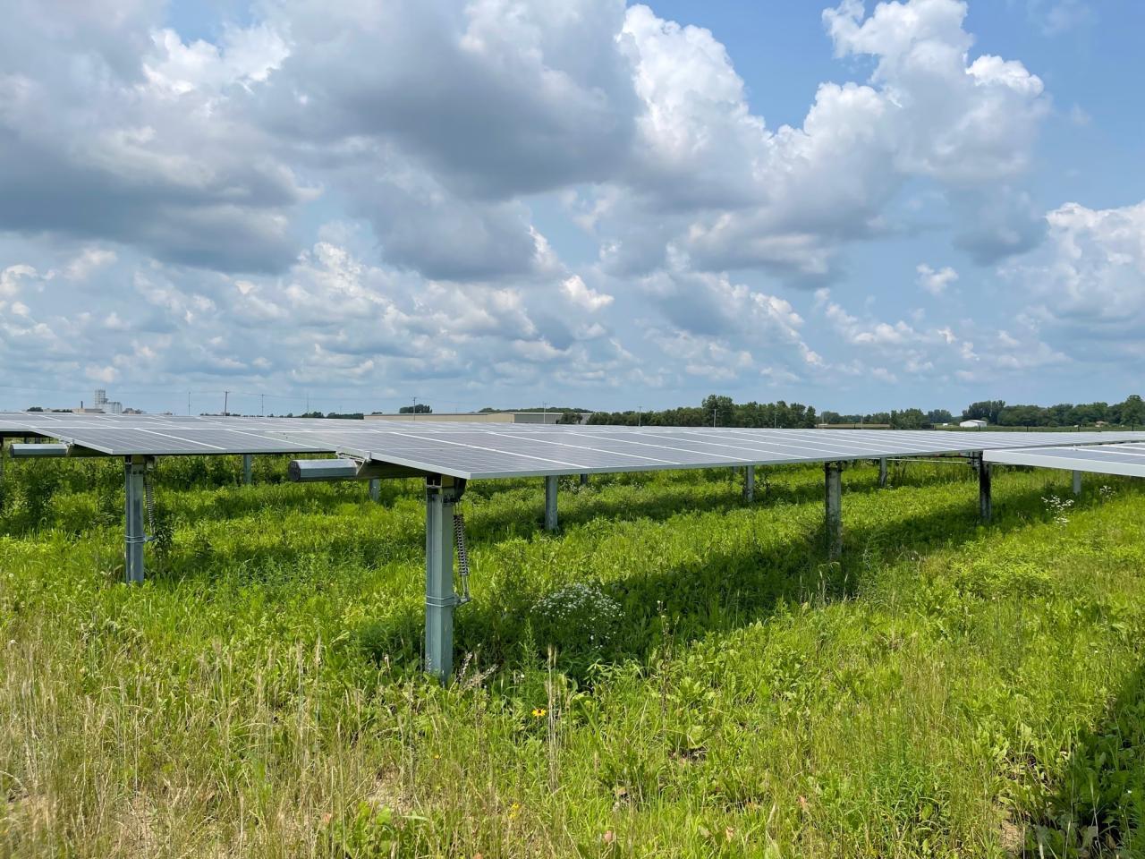 Solar panels in field