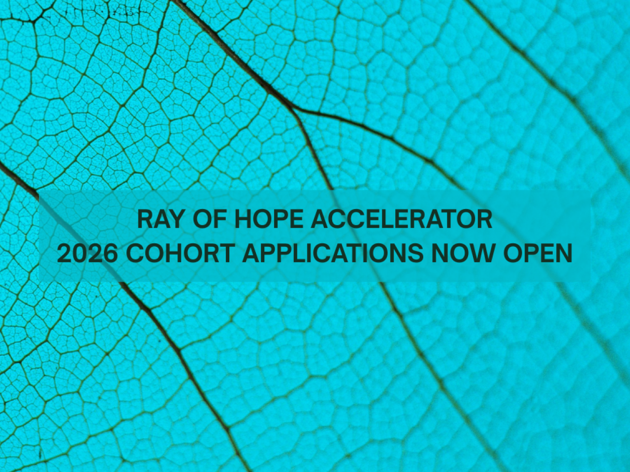 Ray of Hope Accelerator Title Image