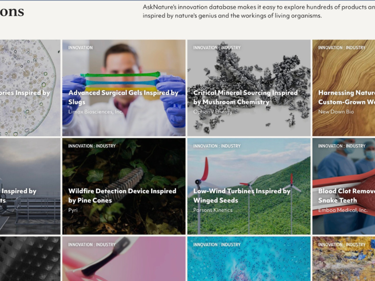 Team names and images from the 2025 Ray of Hope Accelerator