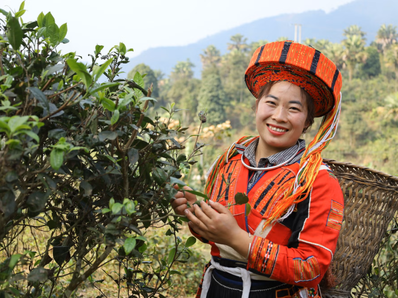 Hung Thi Dang is a tea grower in Vietnam who has opened a tea processing workshop. Image credit: TrangNK / CARE