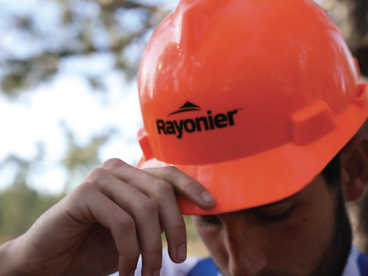 A person putting on a red safety hat with the Rayonier logo on the front