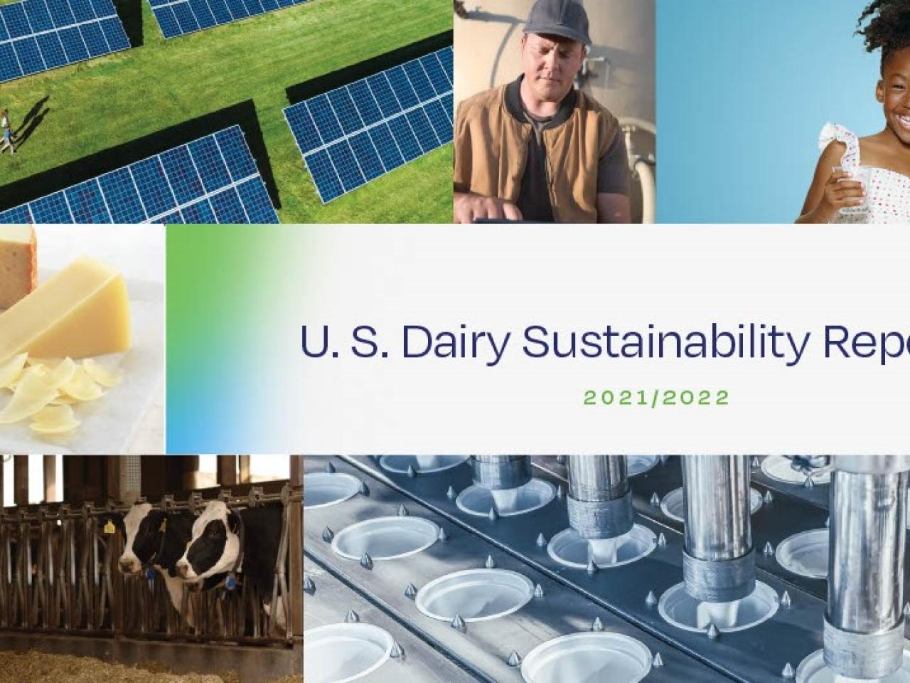 U.S. Dairy Sustainability Report cover with image of dairy cows, people, and solar panels