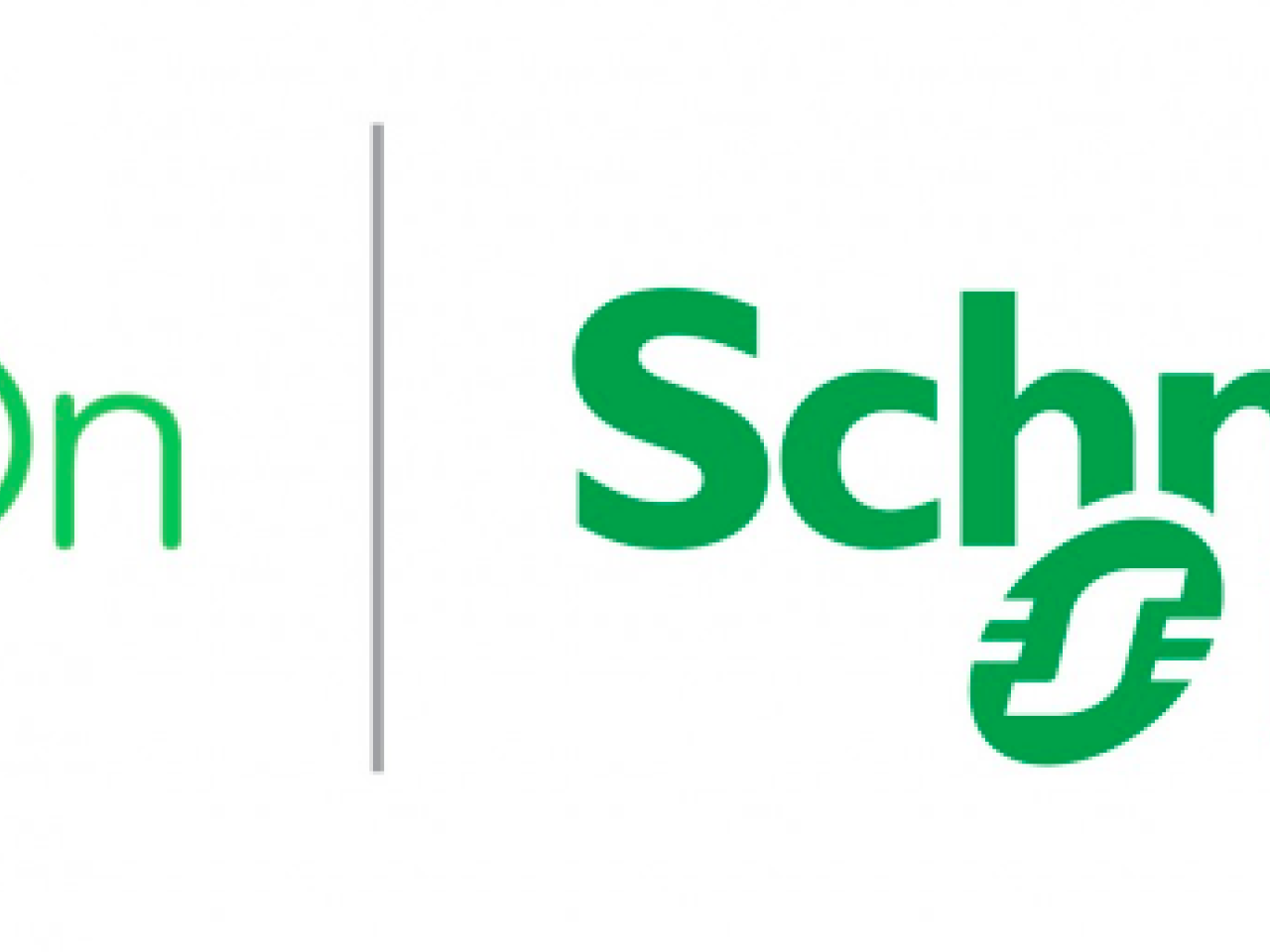 Schneider Electric Logo ESG