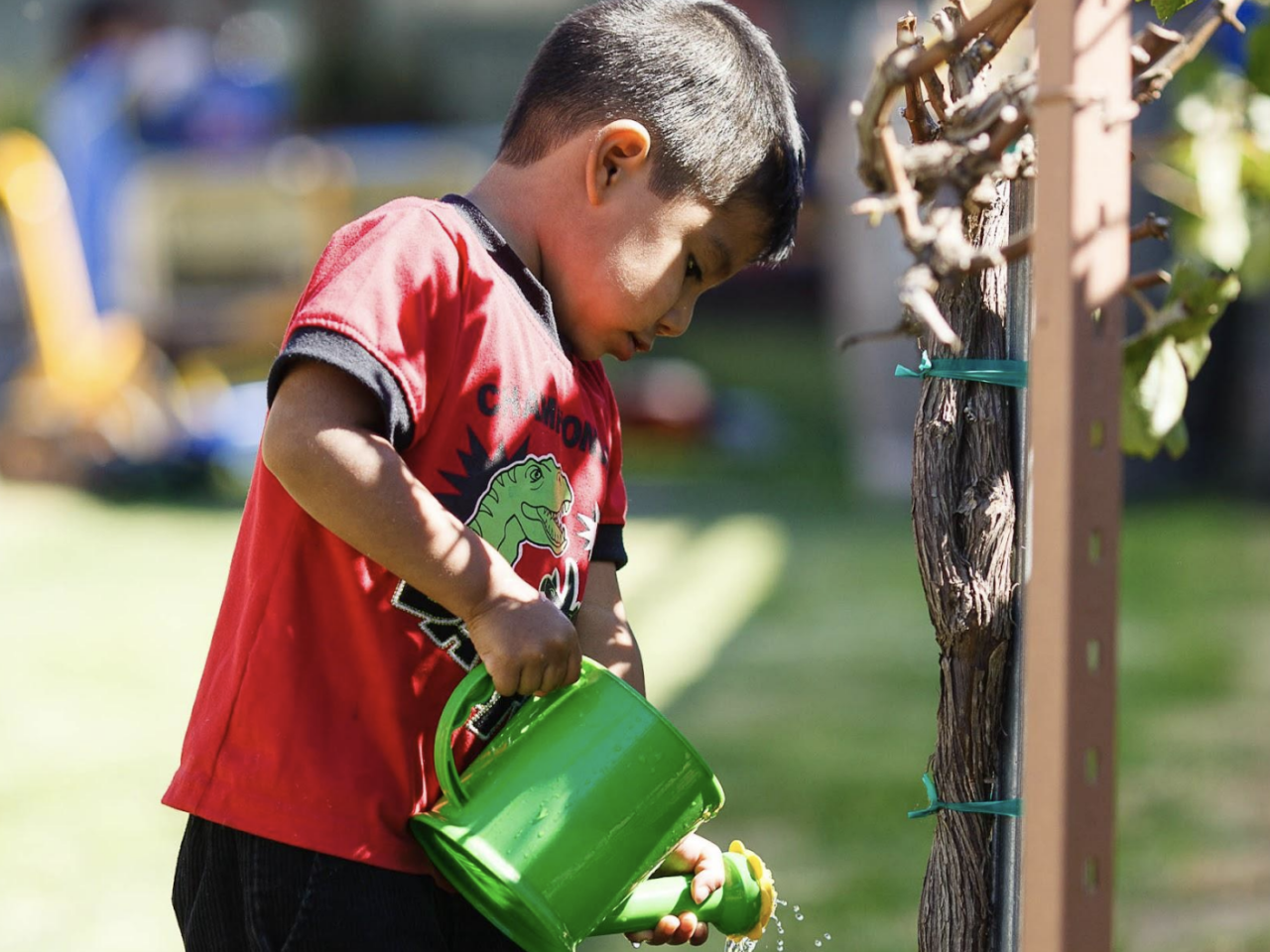 Child in red shirt pouring water from watering canteen