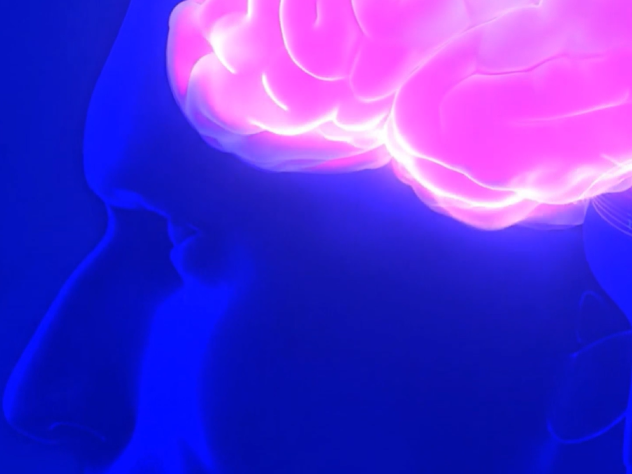 Illustration of human brain