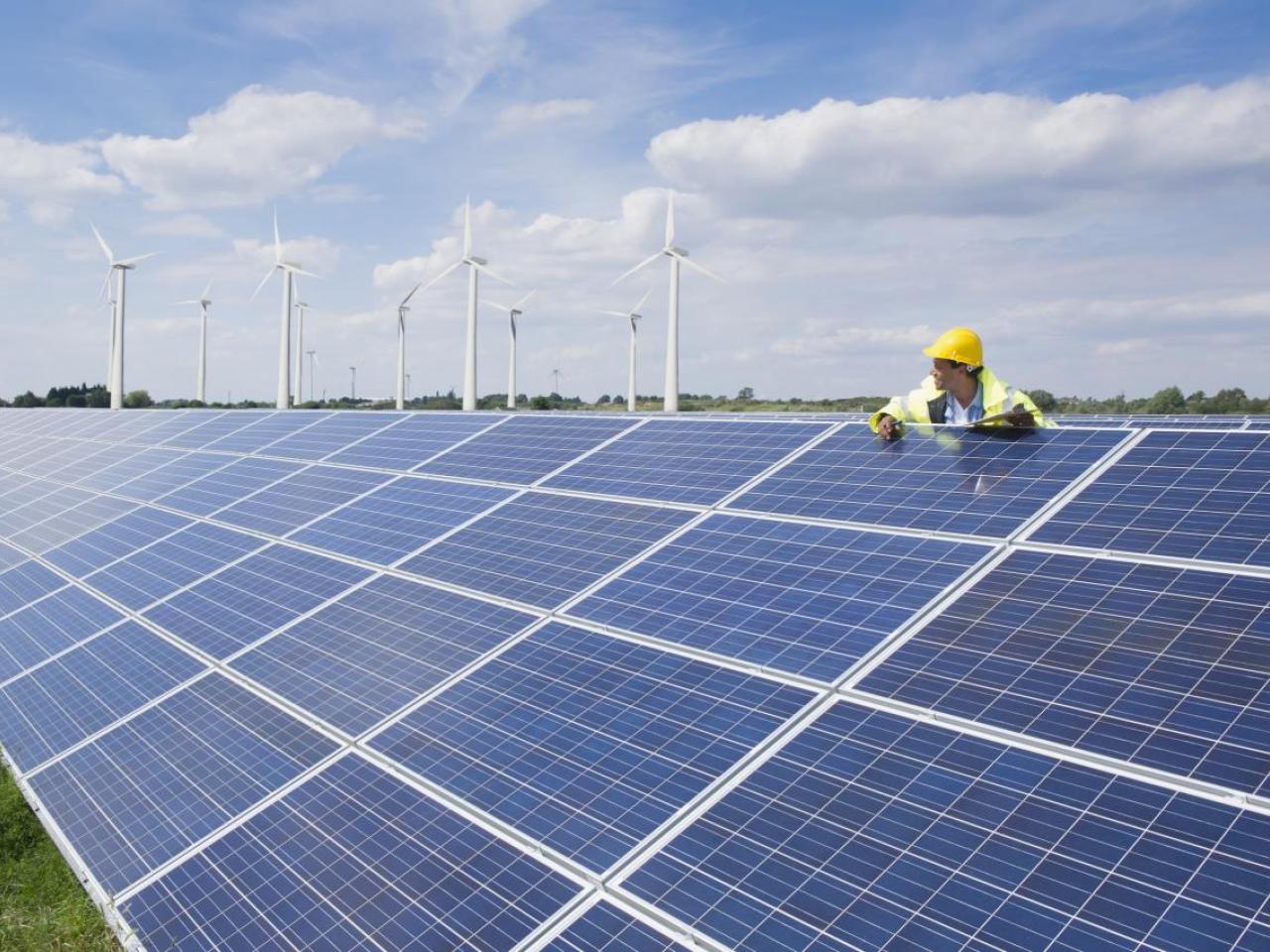 A person leant against a solar panel in a solar farm