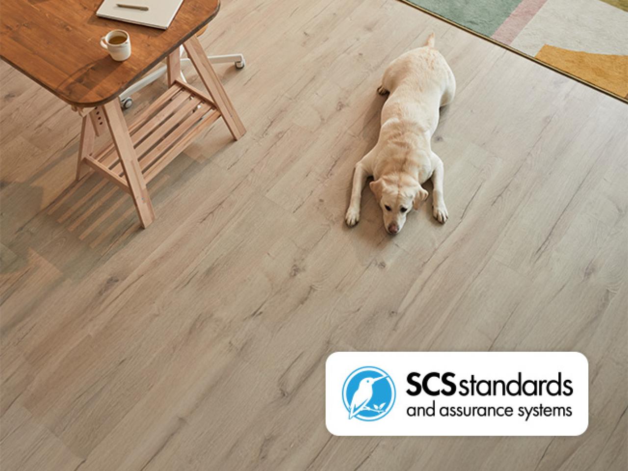 Dog lying on wooden floor with SCSstandards logo in corner of image