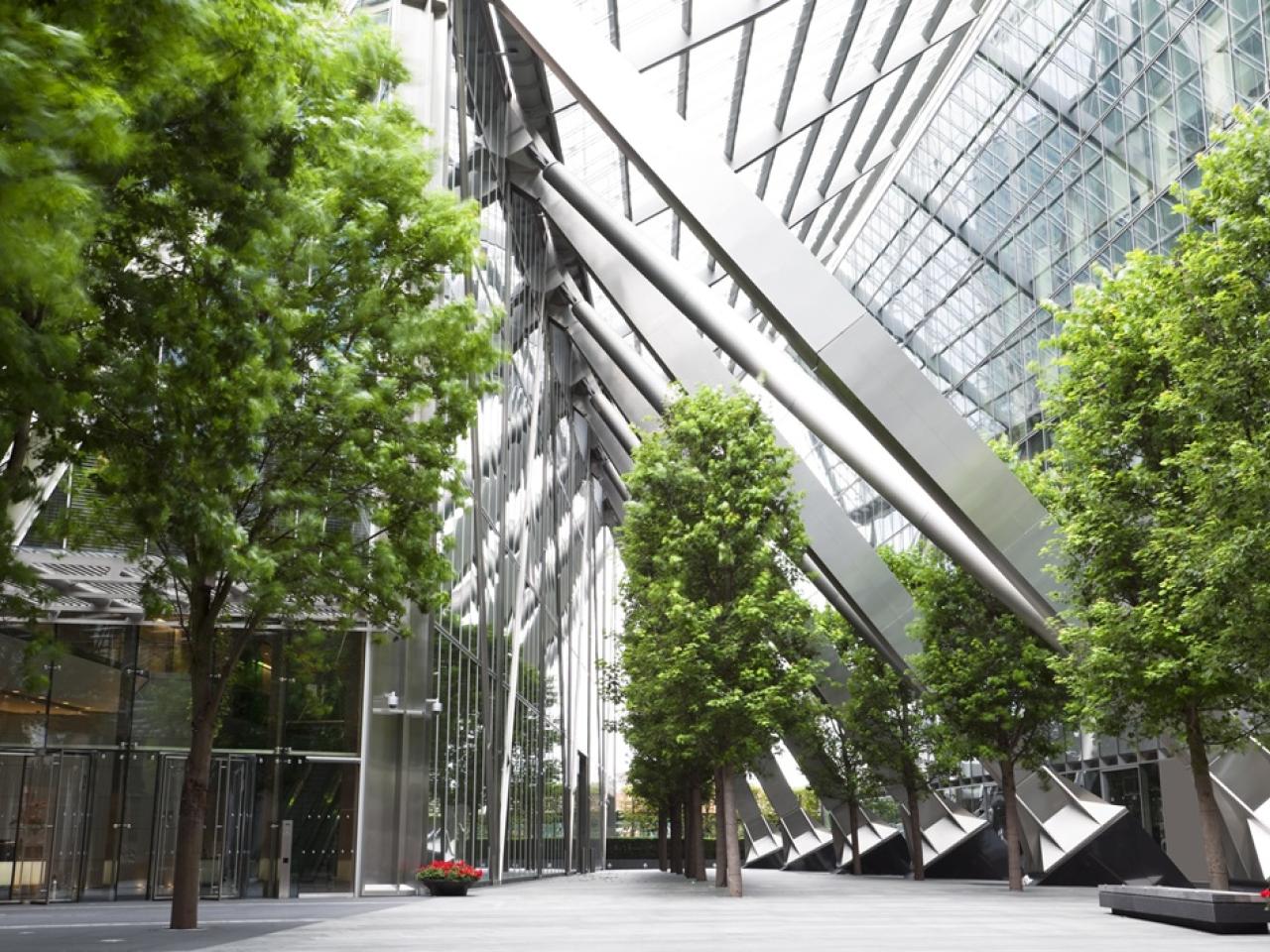 An office space with many windows and trees inside
