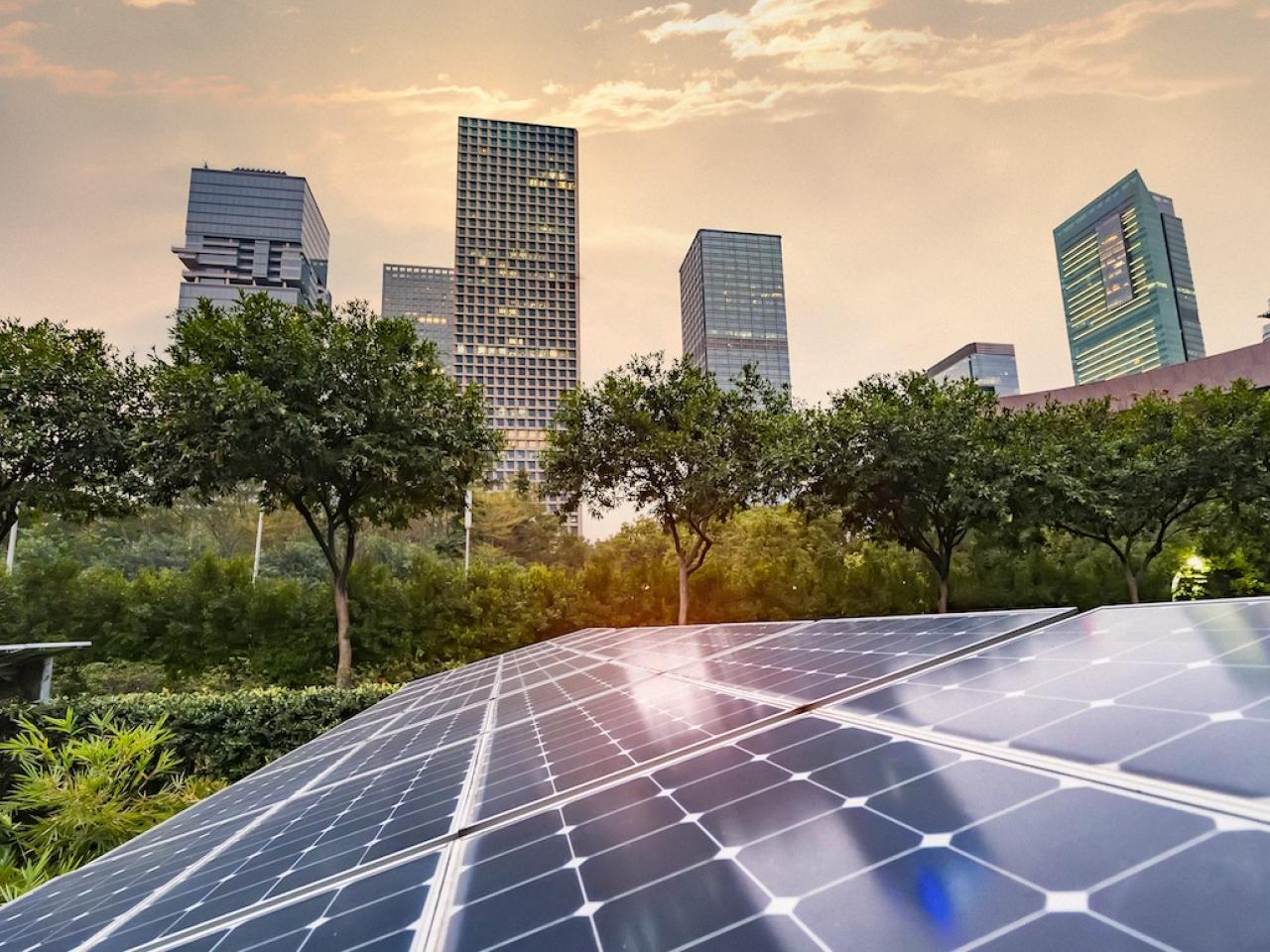 Solar panel array with a cityscape in the background.