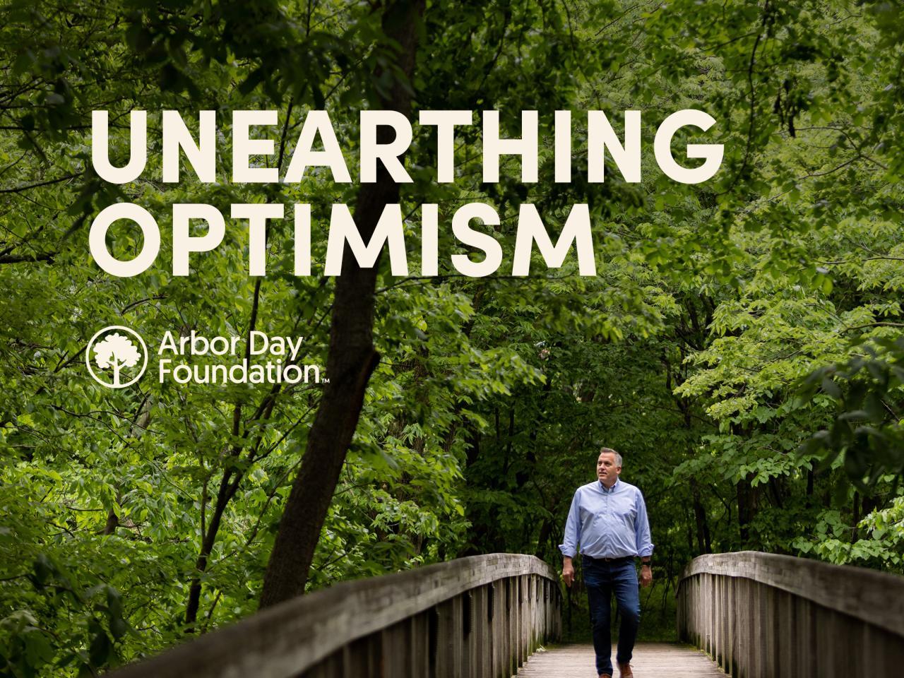 Unearthing Optimism podcast cover shows CEO Dan Lambe looking up while walking down a bridge in the middle of a forest.