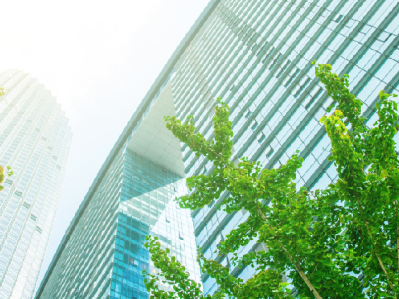 Green Building, seen from below 