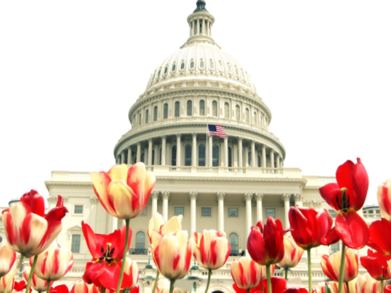 Capitol Hill