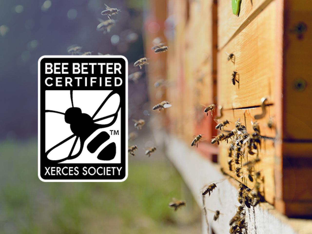 VFLP California's Burns Ranch Achieves Bee Better Certification™ from SCS Global Services 