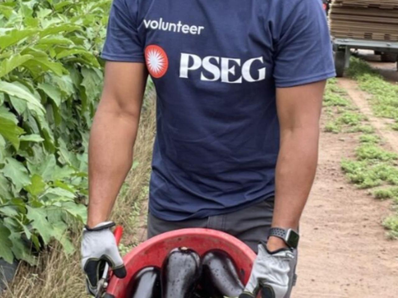 PSEG volunteer with a basket of eggplant