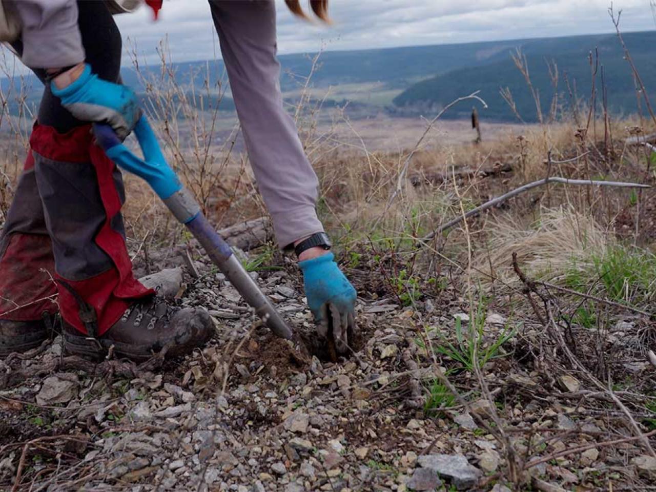 A person in hiking gear shown with a shovel and making a small hole.
