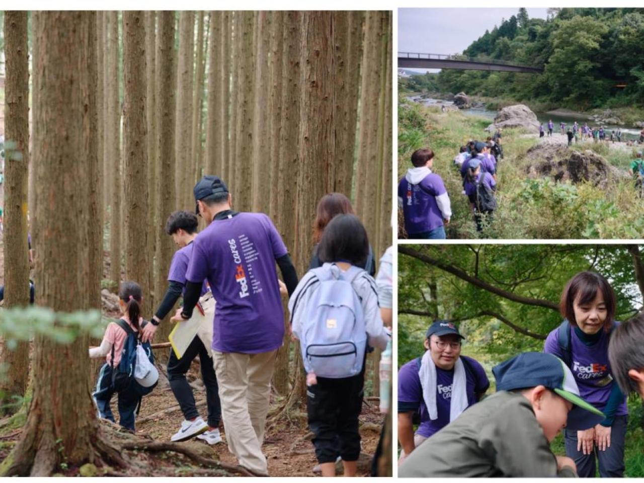 group of people working in forests