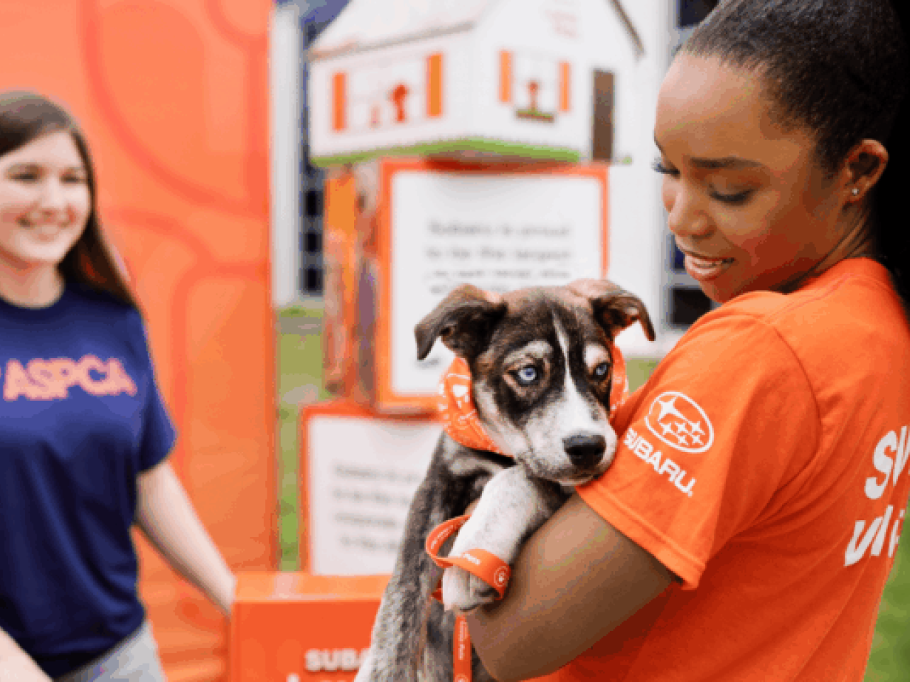 Image courtesy of Engage for Good person holding a dog