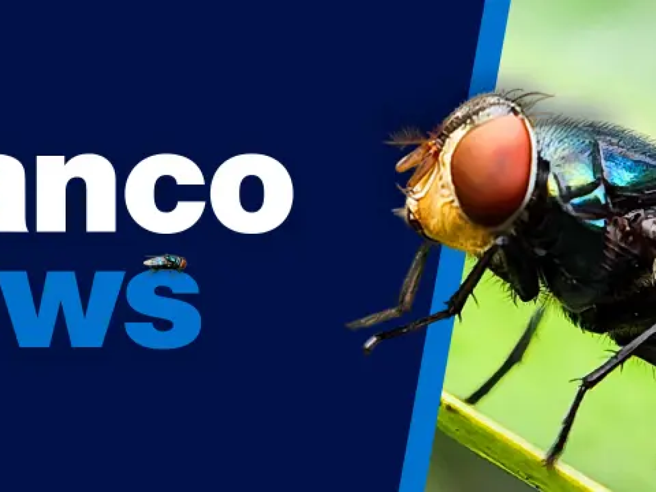 Elanco News: Credelio